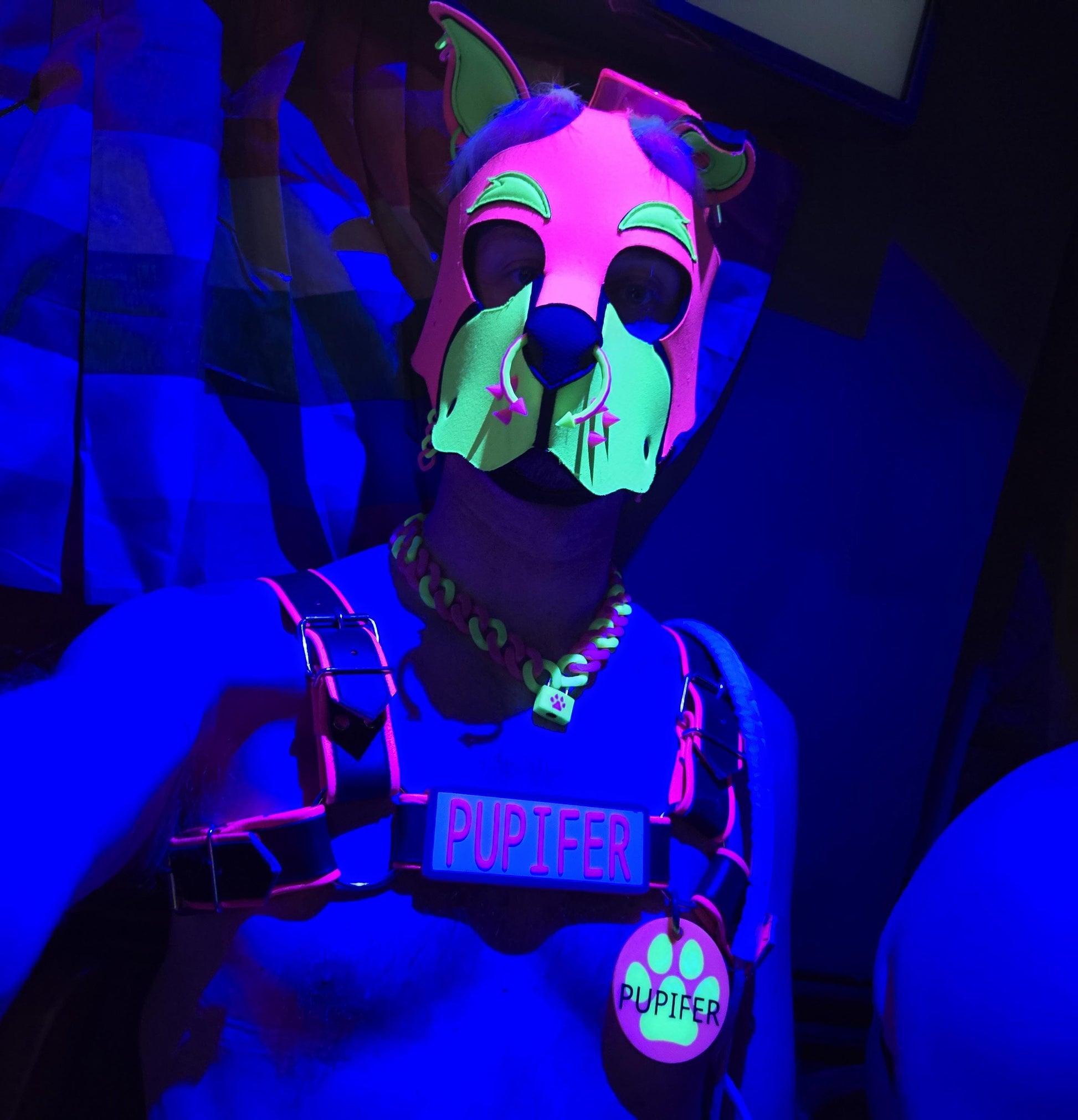 🐾 High Tech: 3D Printed Puppy Paw Name Badges (Includes NFC Chip) Pupifer's Paddles