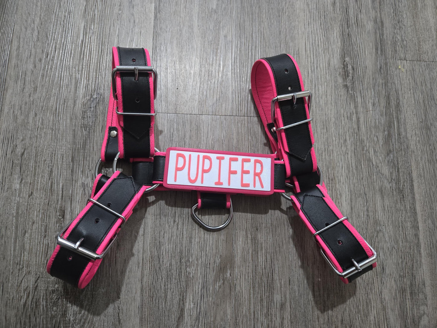 🎨 Harness Nameplate - Colorful, Personalized, Durable, & Stylish. High-Tech Options Pupifer's Paddles