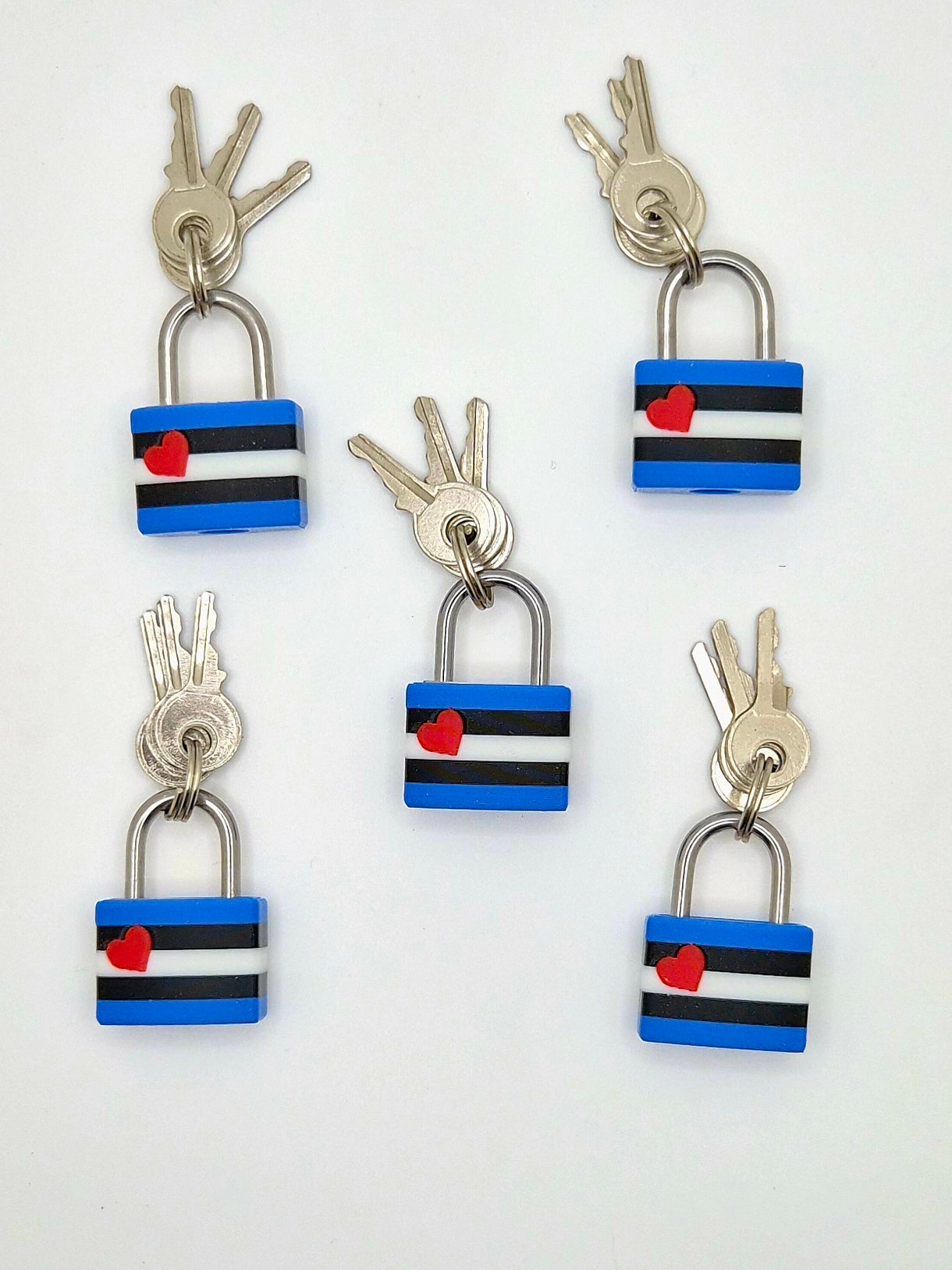 Small Lock & Cover – Custom Kink Collar Lock, Keyed Alike Options, Glow & Pride Styles