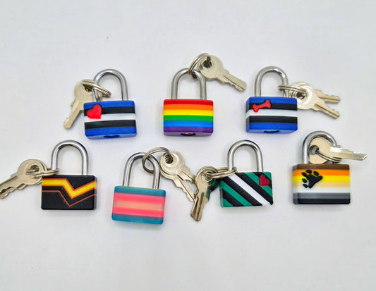 Small Lock & Cover – Custom Kink Collar Lock, Keyed Alike Options, Glow & Pride Styles