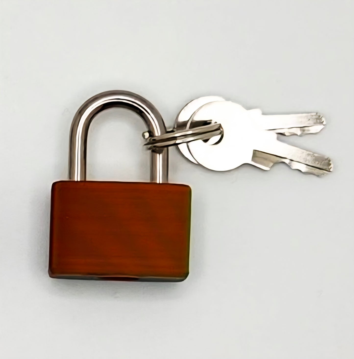 Small Lock & Cover – Custom Kink Collar Lock, Keyed Alike Options, Glow & Pride Styles