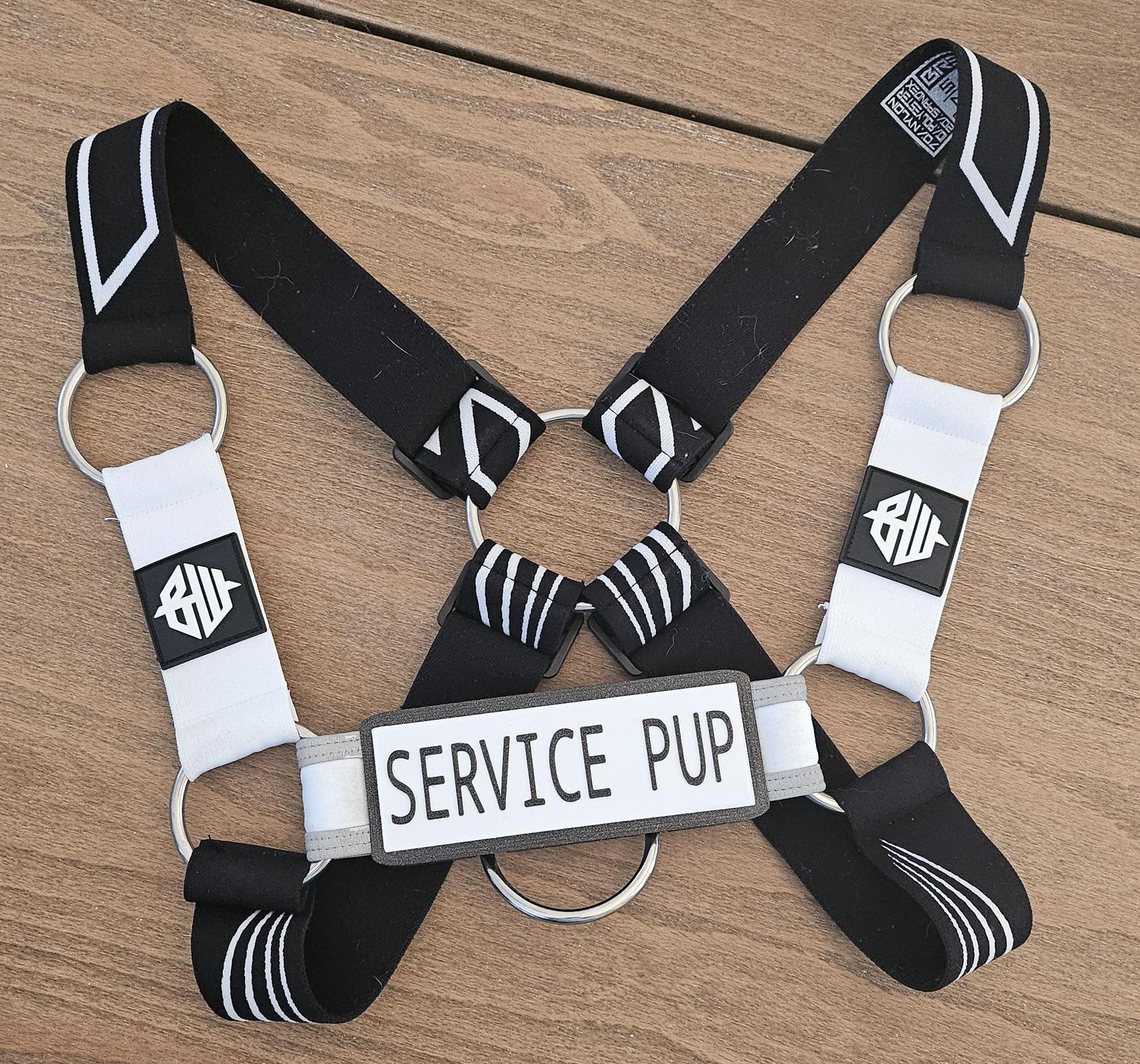 🎨 Harness Nameplate - Colorful, Personalized, Durable, & Stylish. High-Tech Options Pupifer's Paddles