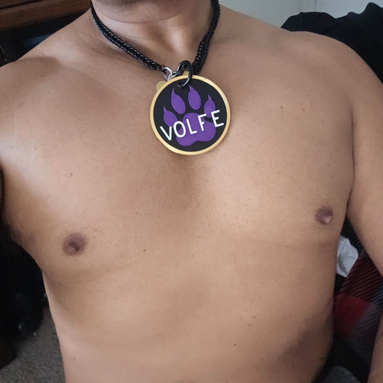 🐾 High Tech: 3D Printed Puppy Paw Name Badges (Includes NFC Chip) Pupifer's Paddles