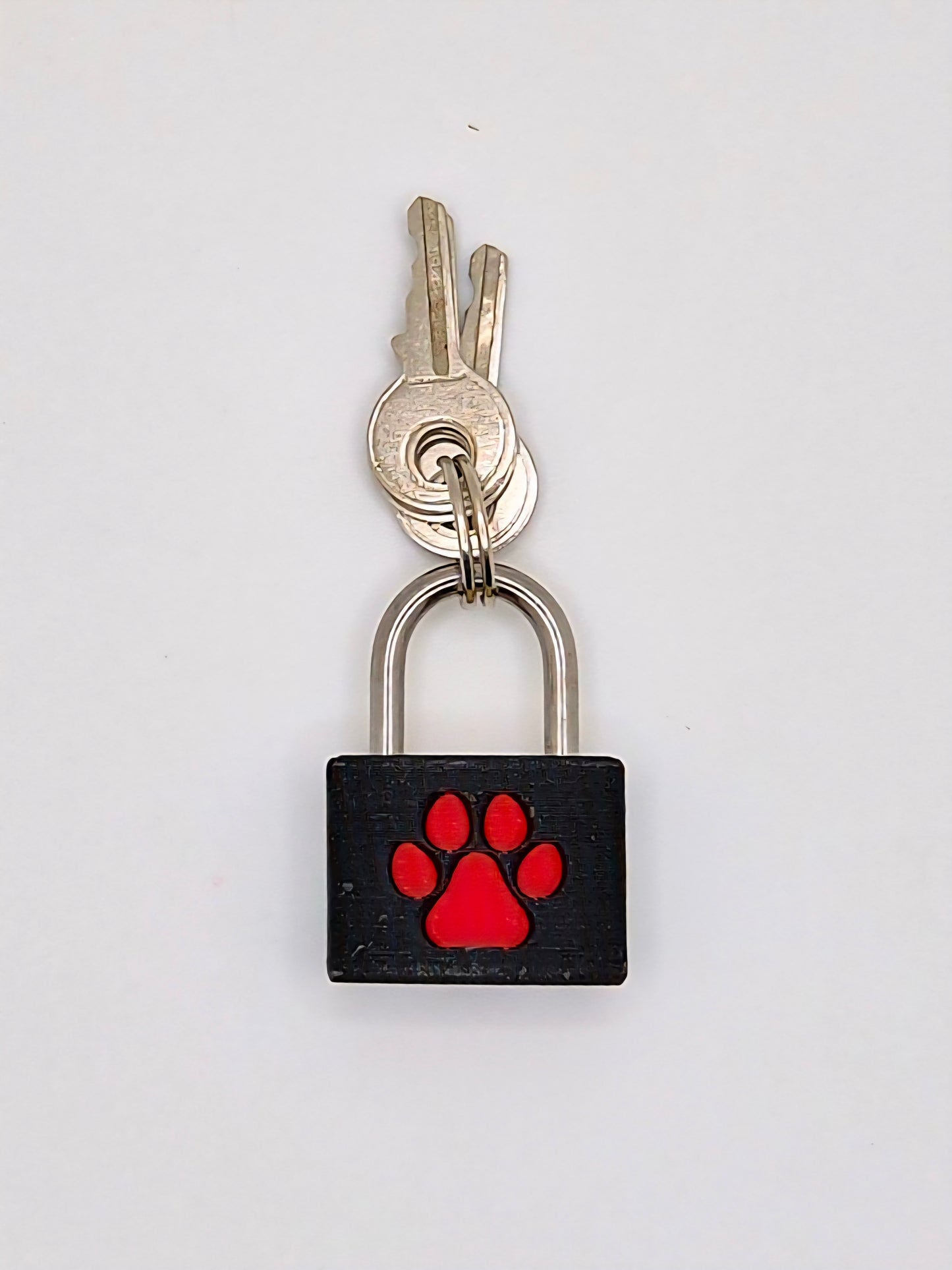 Small Lock & Cover – Custom Kink Collar Lock, Keyed Alike Options, Glow & Pride Styles