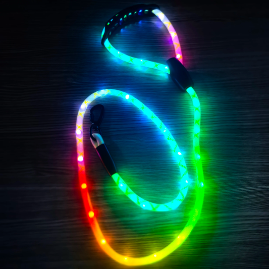 ✨ LIGHT UP RAVE PUP LEASH ✨ Pupifer's Kink Wonderland