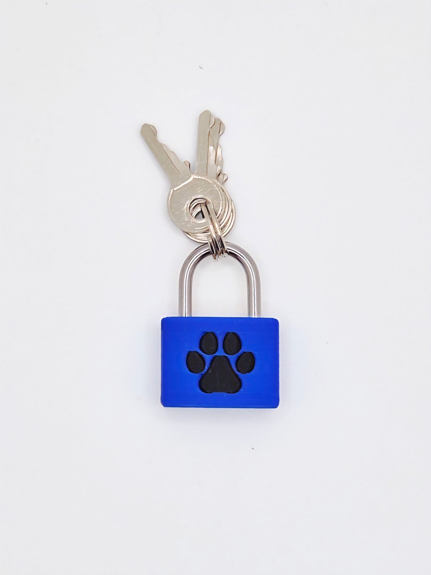 Small Lock & Cover – Custom Kink Collar Lock, Keyed Alike Options, Glow & Pride Styles
