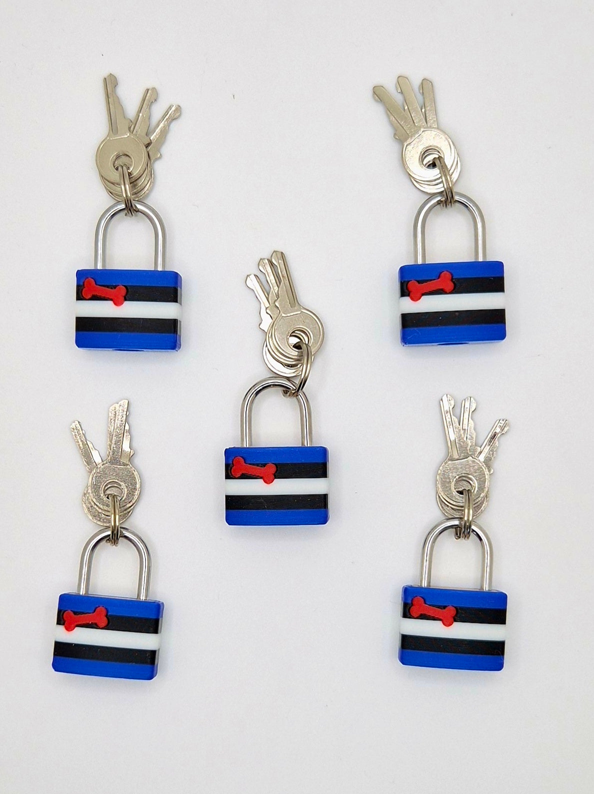Small Lock & Cover – Custom Kink Collar Lock, Keyed Alike Options, Glow & Pride Styles