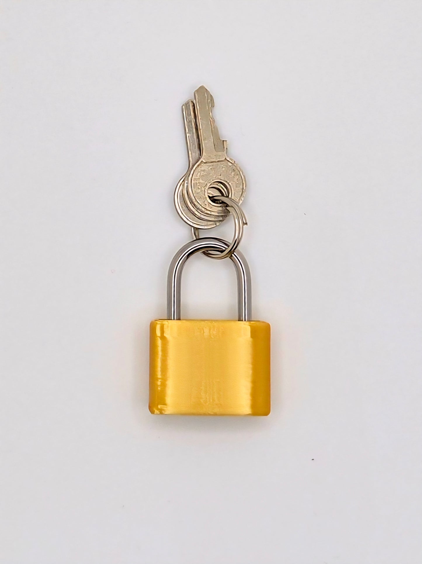 Small Lock & Cover – Custom Kink Collar Lock, Keyed Alike Options, Glow & Pride Styles
