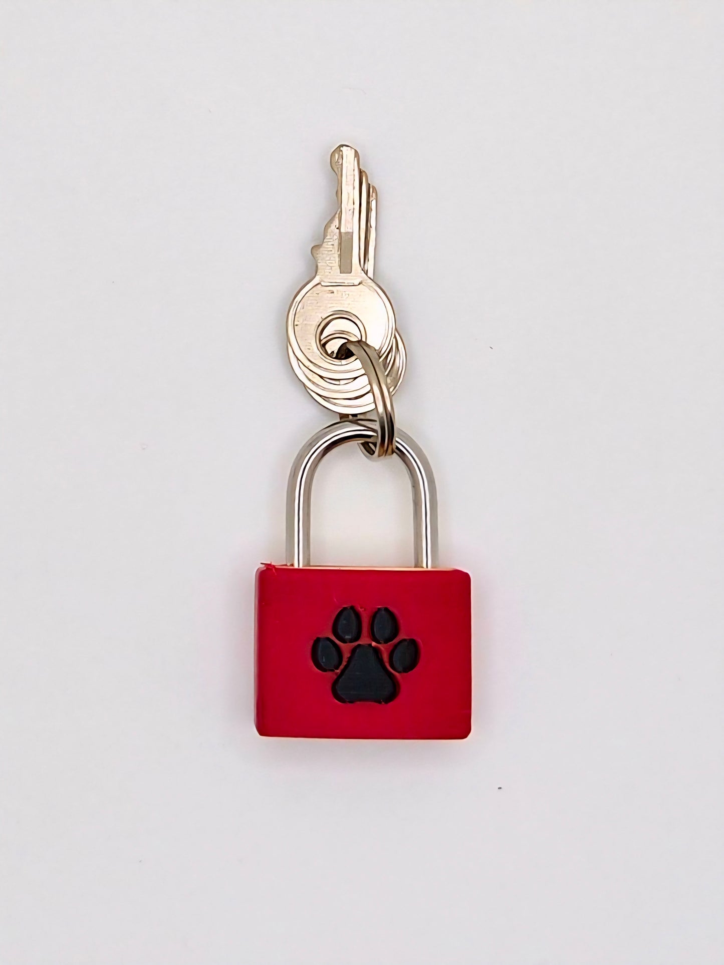 Small Lock & Cover – Custom Kink Collar Lock, Keyed Alike Options, Glow & Pride Styles