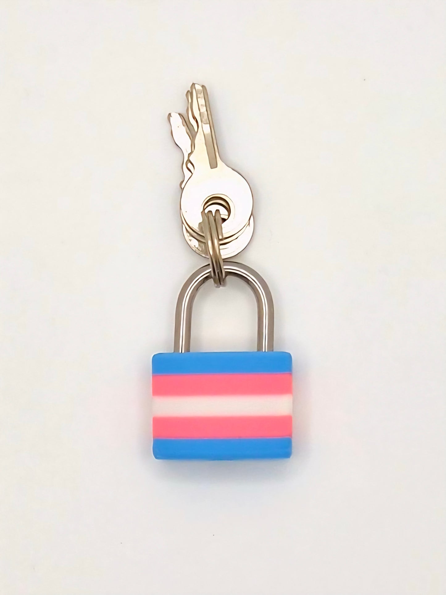 Small Lock & Cover – Custom Kink Collar Lock, Keyed Alike Options, Glow & Pride Styles