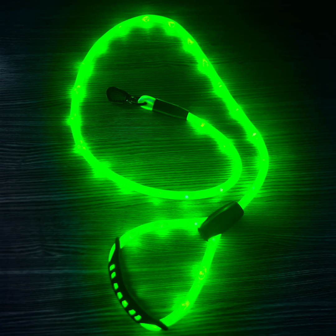 ✨ LIGHT UP RAVE PUP LEASH ✨ Pupifer's Kink Wonderland