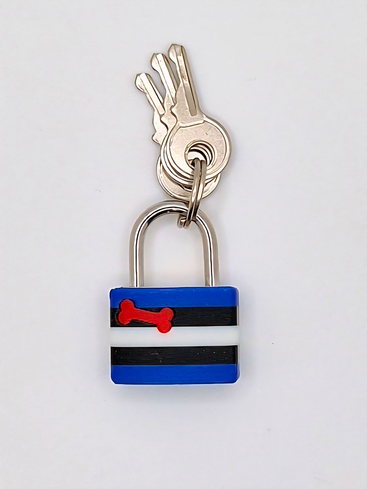 Small Lock & Cover – Custom Kink Collar Lock, Keyed Alike Options, Glow & Pride Styles